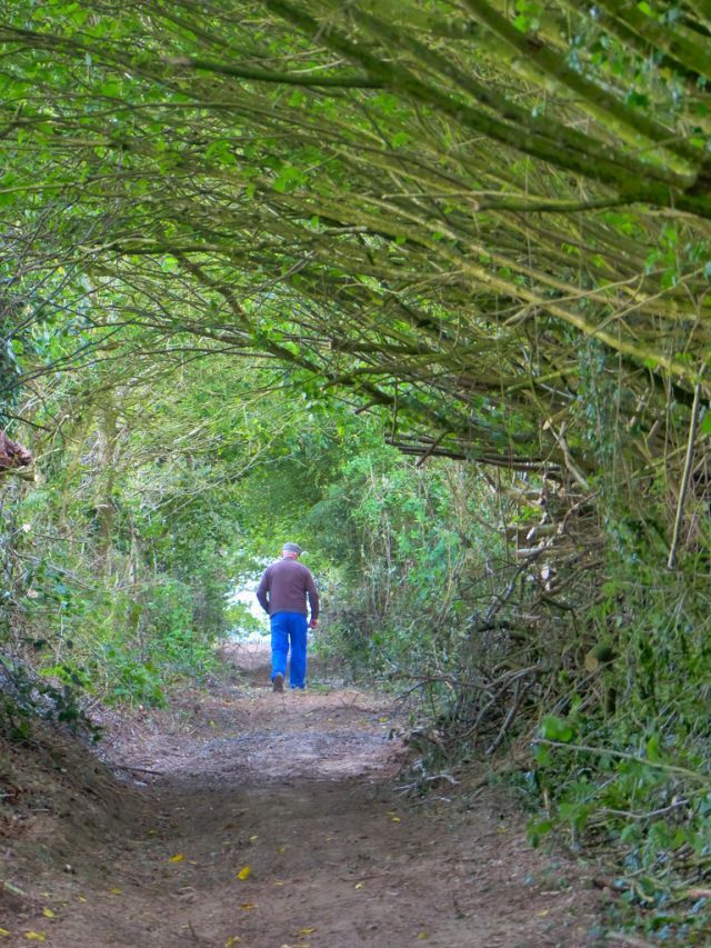 Les promeneurs sont déja de retour!<br/>